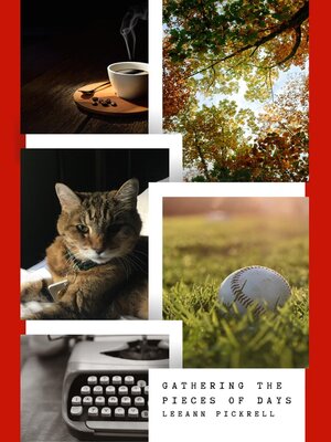 cover image of Gathering the Pieces of Days